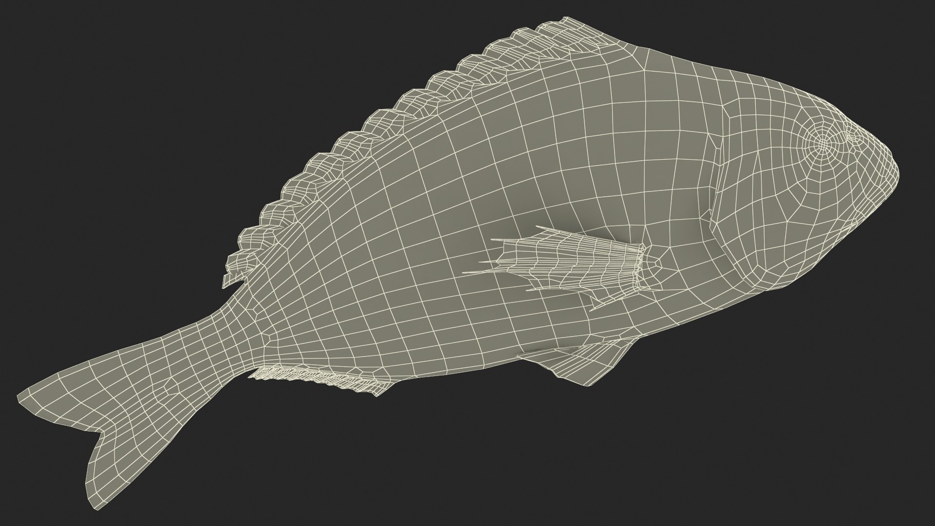 3D model Gilt-head Sea Bream Fish Swimming https://p.turbosquid.com/ts-thumb/HE/MX68vS/wP/giltheadseabreamfishswimmingc4dmodel028/jpg/1702089339/1920x1080/fit_q87/c902f314377704dd589e82767c51ef712db1df75/giltheadseabreamfishswimmingc4dmodel028.jpg