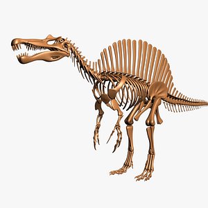 skeleton spinosaurus model