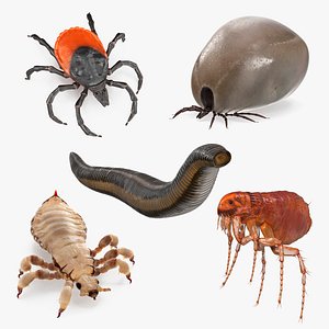 Parasites Rigged Collection 2