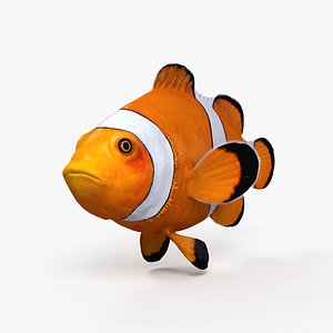 3D Clownfish HD