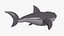 Inflatable shark