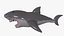 Inflatable shark