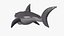 Inflatable shark