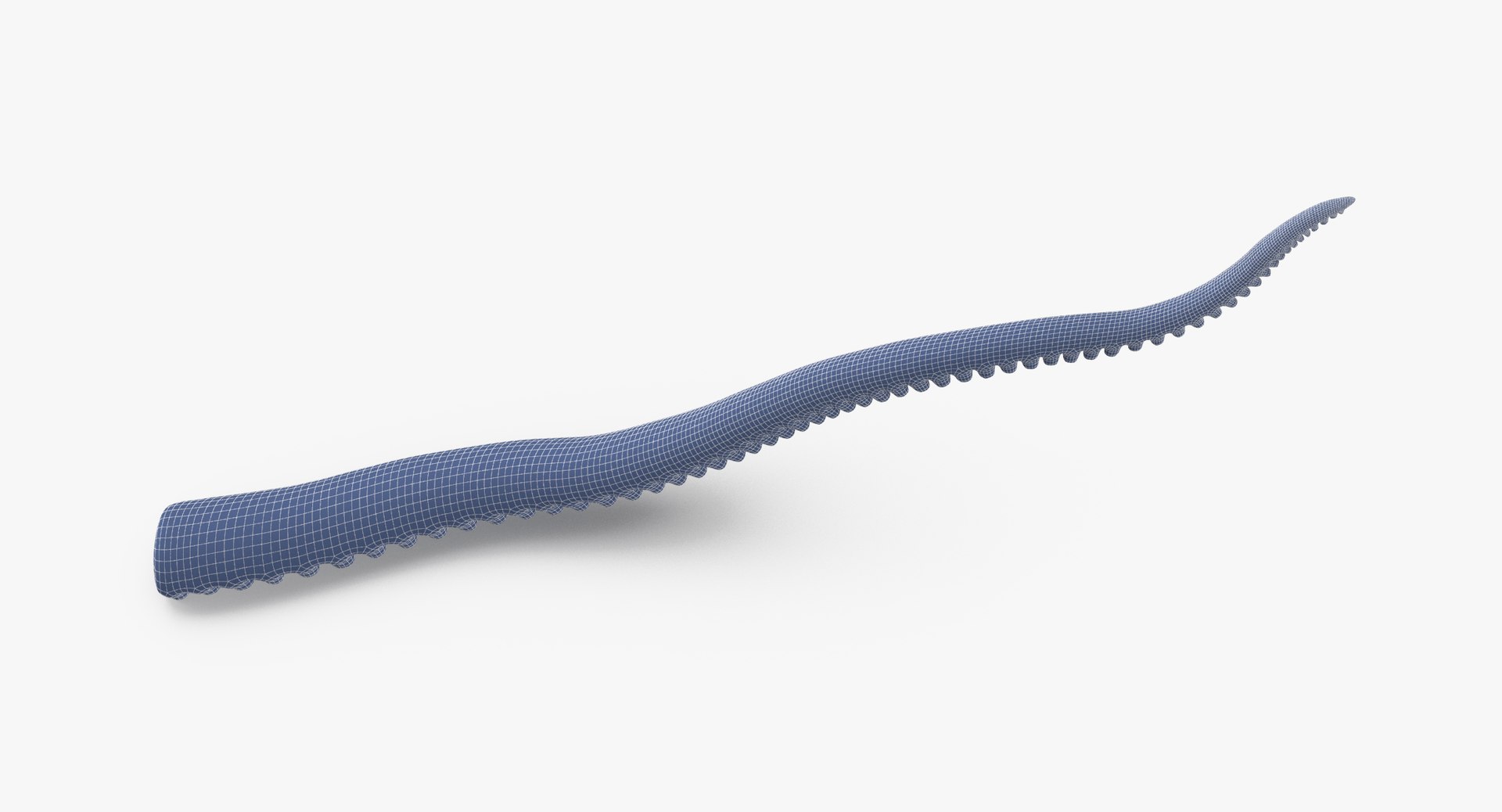 3d Octopus Tentacle 01