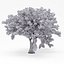 Deciduous 035