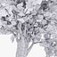 Deciduous 035