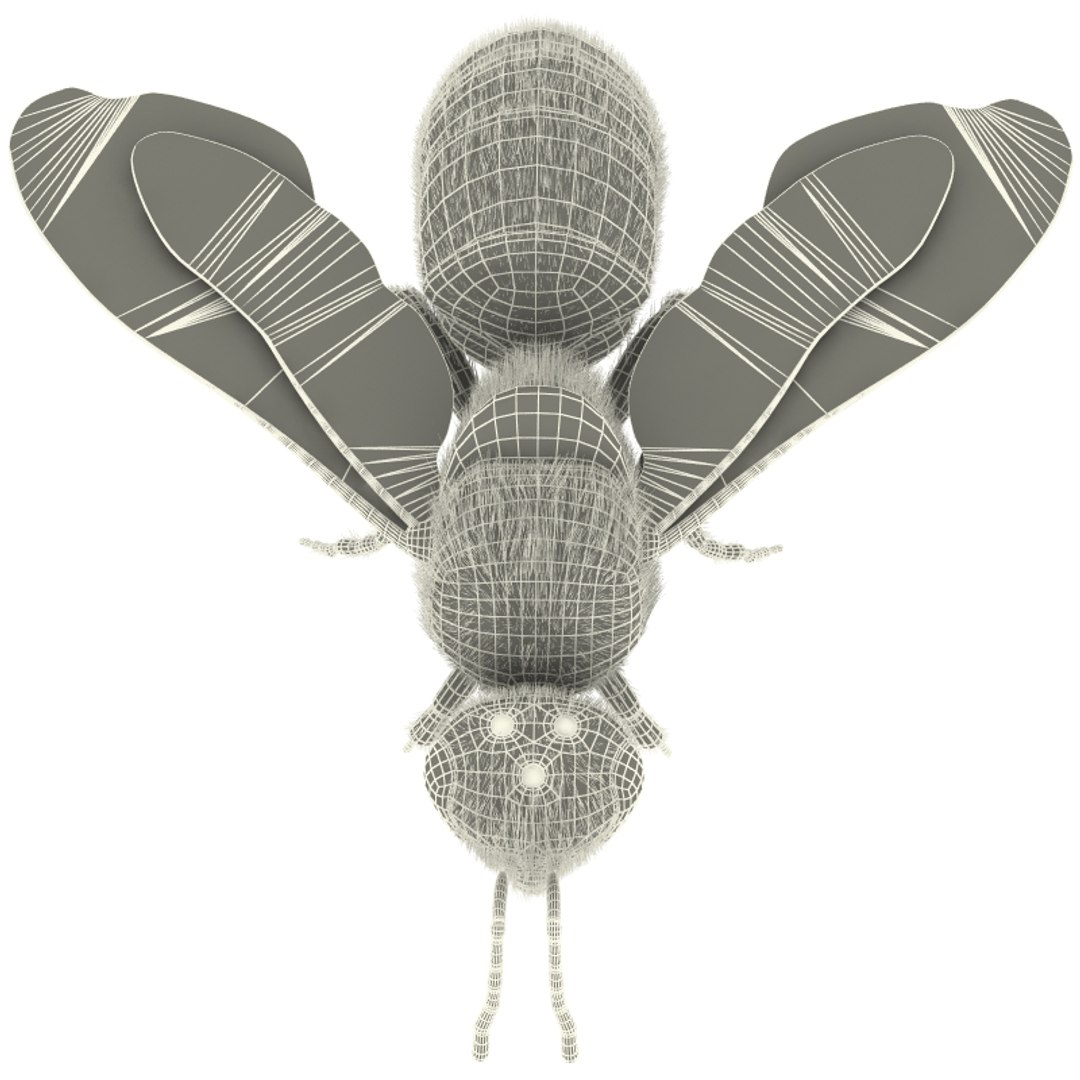 3ds Bee Modelled