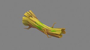 Fallen withered tree