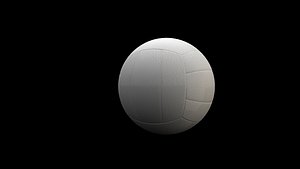 3d volleyball ball model