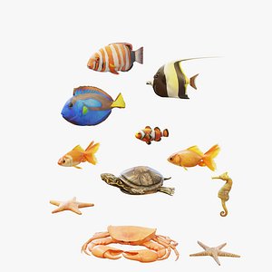 Mega Water Pack - 11 Rigged and Animated Sea Animals PBR