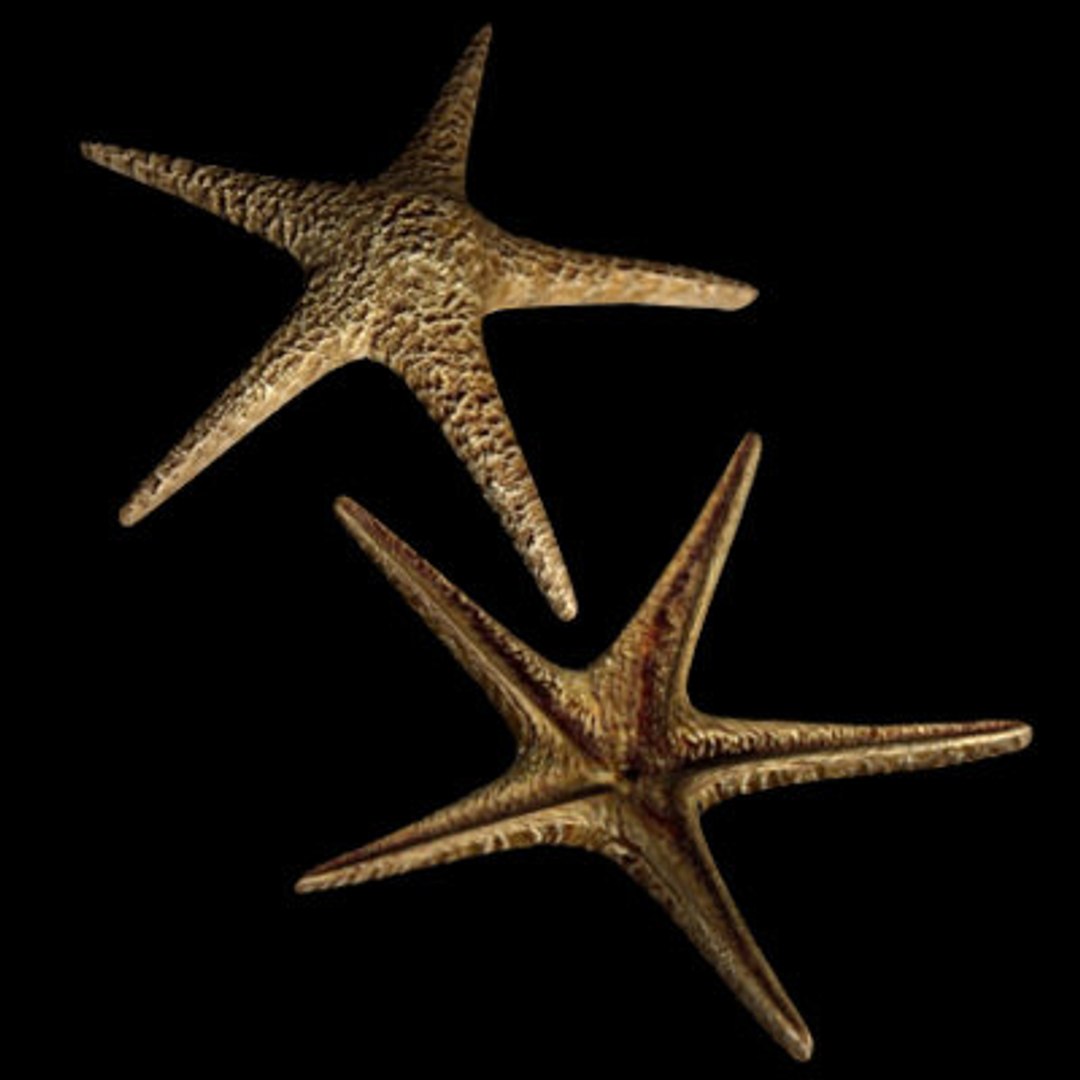 goldfishes rigged 9 gold fish 3d max https://p.turbosquid.com/ts-thumb/HF/7IJmdm/DdjgSLBh/megapack_th018/jpg/1227106968/1920x1080/fit_q87/37661f32de8d9ff6b2a9efc76ca211881daccac7/megapack_th018.jpg