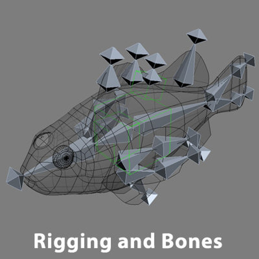 goldfishes rigged 9 gold fish 3d max https://p.turbosquid.com/ts-thumb/HF/7IJmdm/QxYqH0DK/megapack_th004/jpg/1227106703/1920x1080/fit_q87/bd3d3d01f7843bdef87fb31e4194feaa05a9d36c/megapack_th004.jpg
