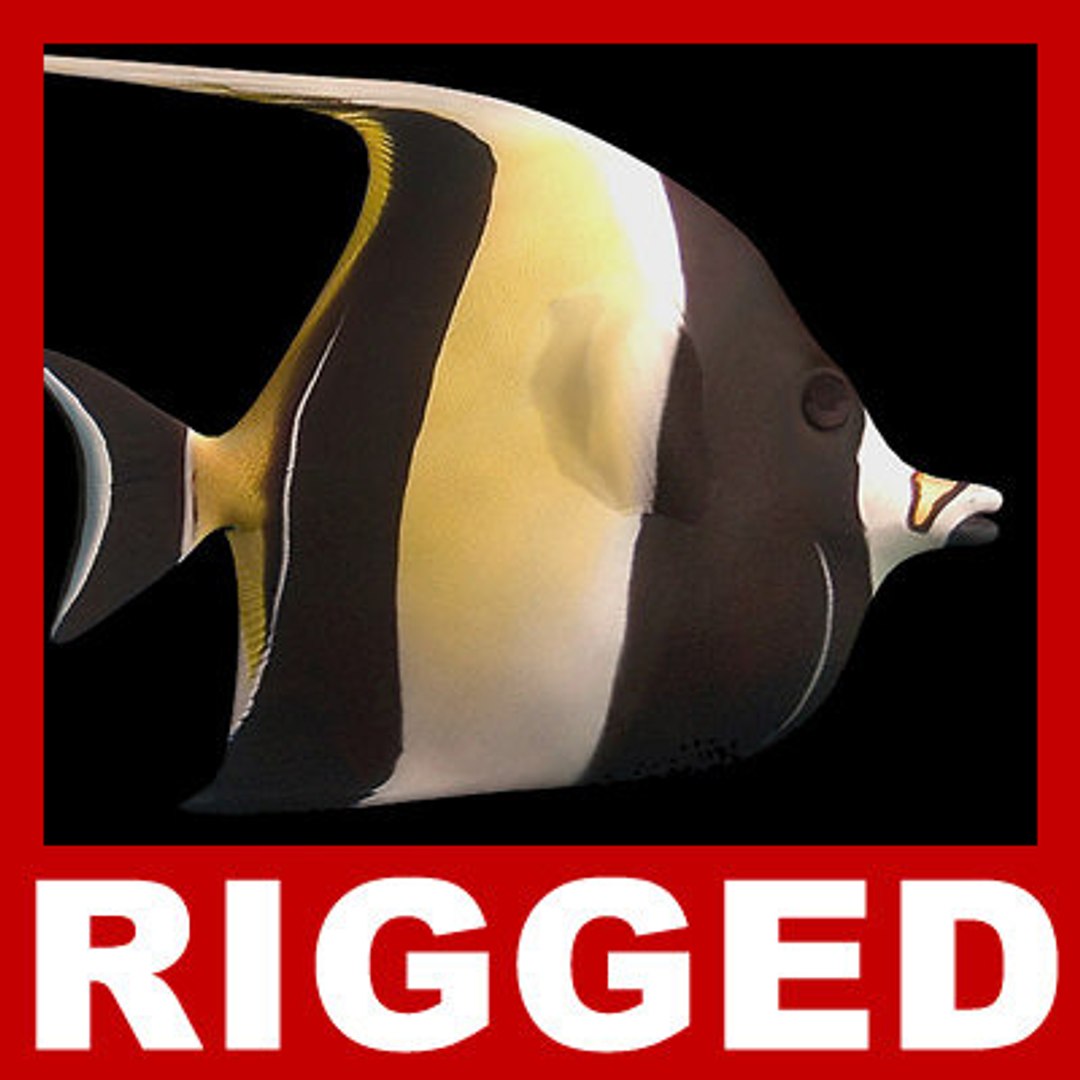 goldfishes rigged 9 gold fish 3d max https://p.turbosquid.com/ts-thumb/HF/7IJmdm/ULRpxtGF/megapack_th023/jpg/1227107035/1920x1080/fit_q87/764b049cbbb07ad128108a31ca8148c9010648a9/megapack_th023.jpg