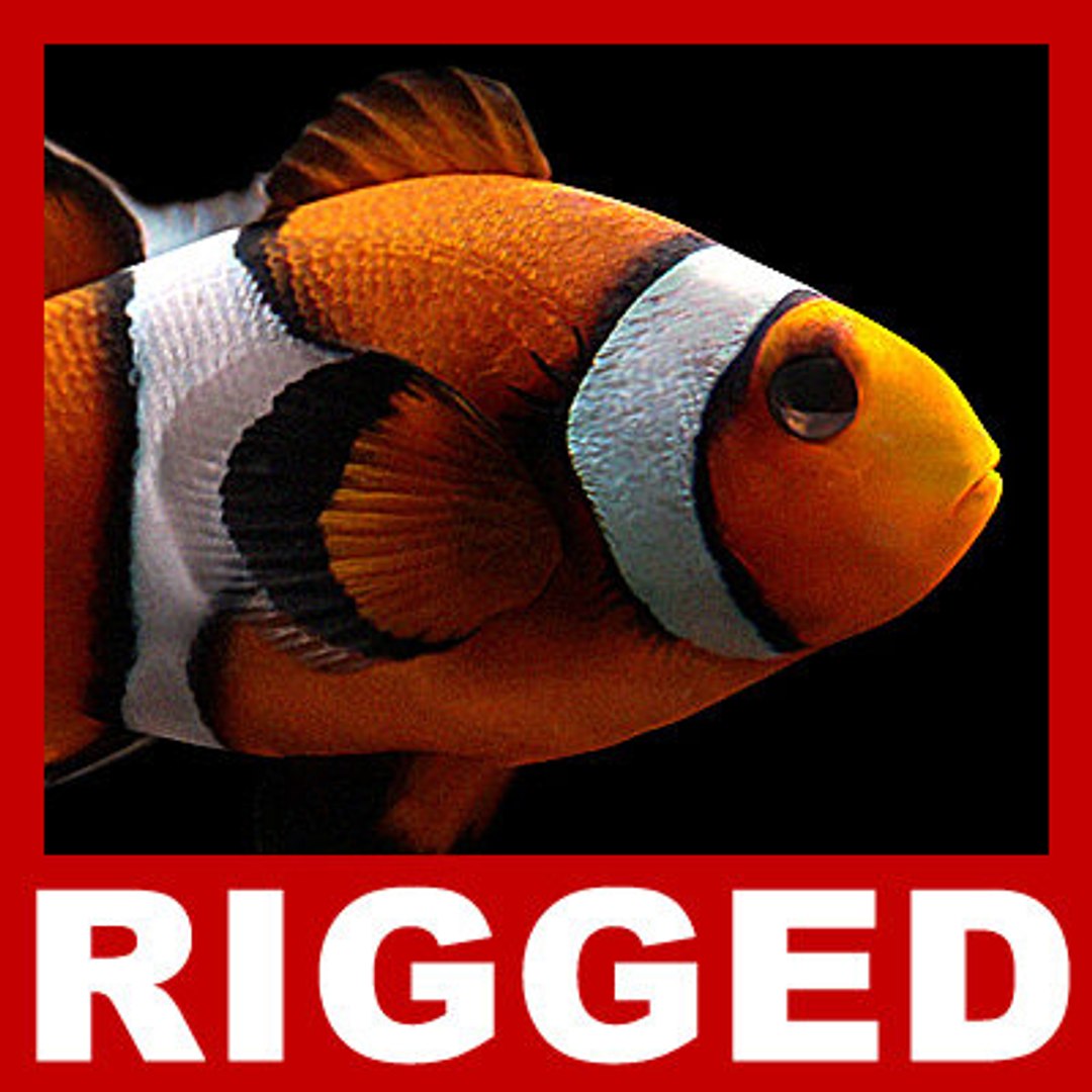 goldfishes rigged 9 gold fish 3d max https://p.turbosquid.com/ts-thumb/HF/7IJmdm/Uxq9oBXT/megapack_th002/jpg/1227106697/1920x1080/fit_q87/0ce4b7b3fb2f5c3e142723303d218accdd874d75/megapack_th002.jpg