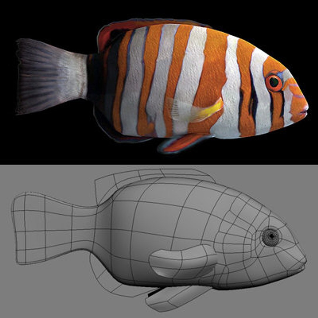 goldfishes rigged 9 gold fish 3d max https://p.turbosquid.com/ts-thumb/HF/7IJmdm/XXNjDRFY/megapack_th030/jpg/1227107072/1920x1080/fit_q87/6d320d927a84a80af538a66607f165d3deeac263/megapack_th030.jpg