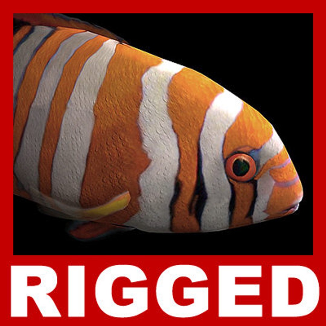 goldfishes rigged 9 gold fish 3d max https://p.turbosquid.com/ts-thumb/HF/7IJmdm/fLES0xT0/megapack_th029/jpg/1227107067/1920x1080/fit_q87/fb068fa0151d3657d146f44469345d2b6e19db23/megapack_th029.jpg