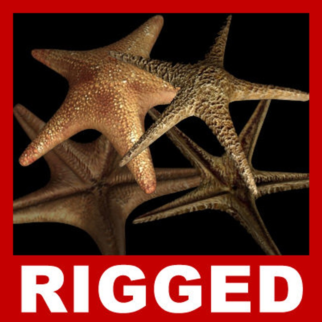 goldfishes rigged 9 gold fish 3d max https://p.turbosquid.com/ts-thumb/HF/7IJmdm/fy3Xllet/megapack_th016/jpg/1227106962/1920x1080/fit_q87/4e5fa98f68909d845c0c85849ffcc8d39758dce0/megapack_th016.jpg