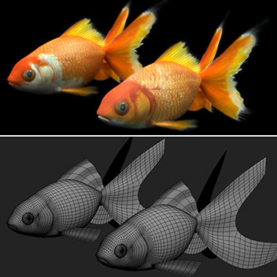goldfishes rigged 9 gold fish 3d max https://p.turbosquid.com/ts-thumb/HF/7IJmdm/hFEmaN43/megapack_th006/jpg/1227106709/1920x1080/fit_q87/d32a2c0d5bdc35fbf739074489aa72138ae296f5/megapack_th006.jpg