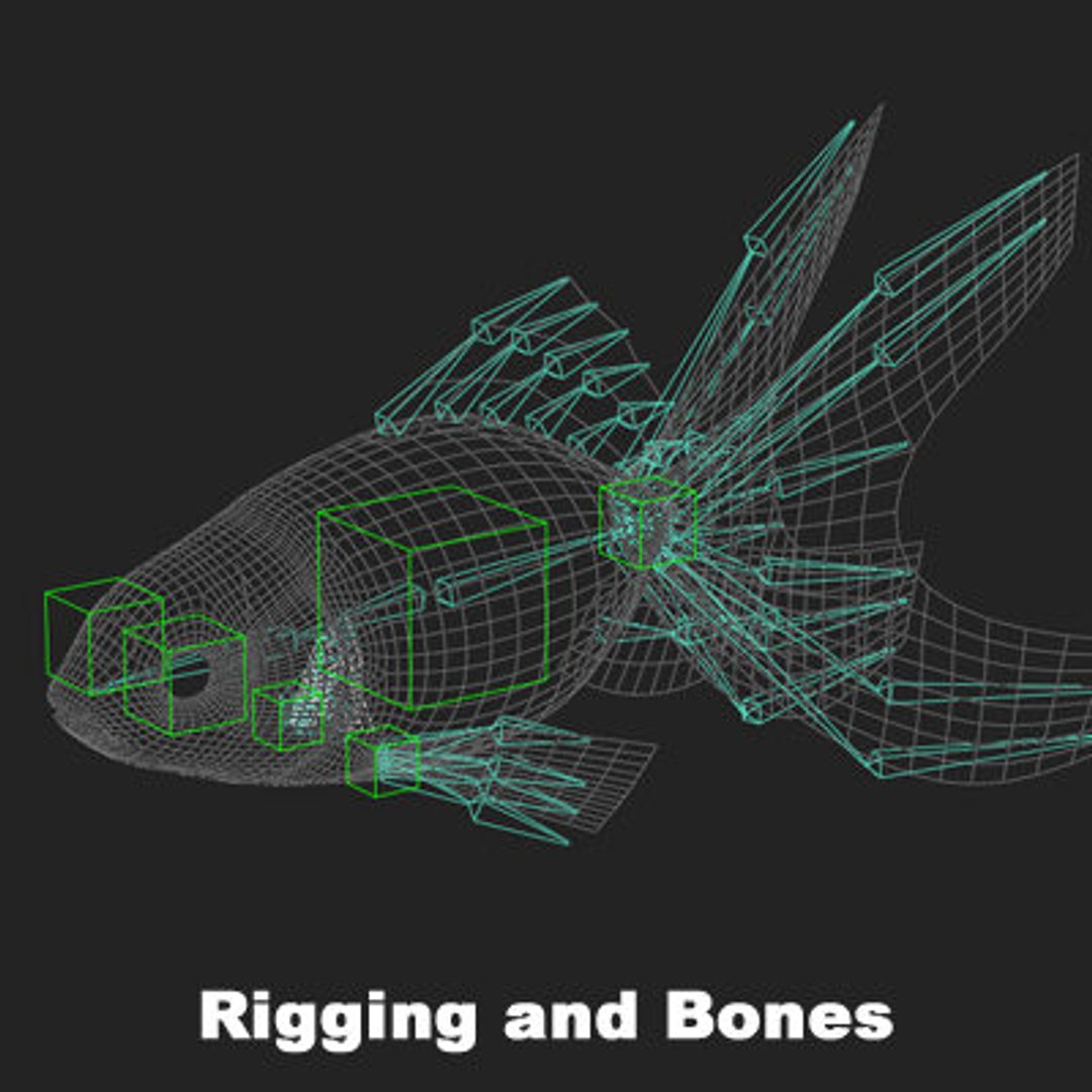 goldfishes rigged 9 gold fish 3d max https://p.turbosquid.com/ts-thumb/HF/7IJmdm/jgJJj5j6/megapack_th007/jpg/1227106715/1920x1080/fit_q87/8f4ef05668e24fcead6c6ebd8c3b9f0571abe1fa/megapack_th007.jpg