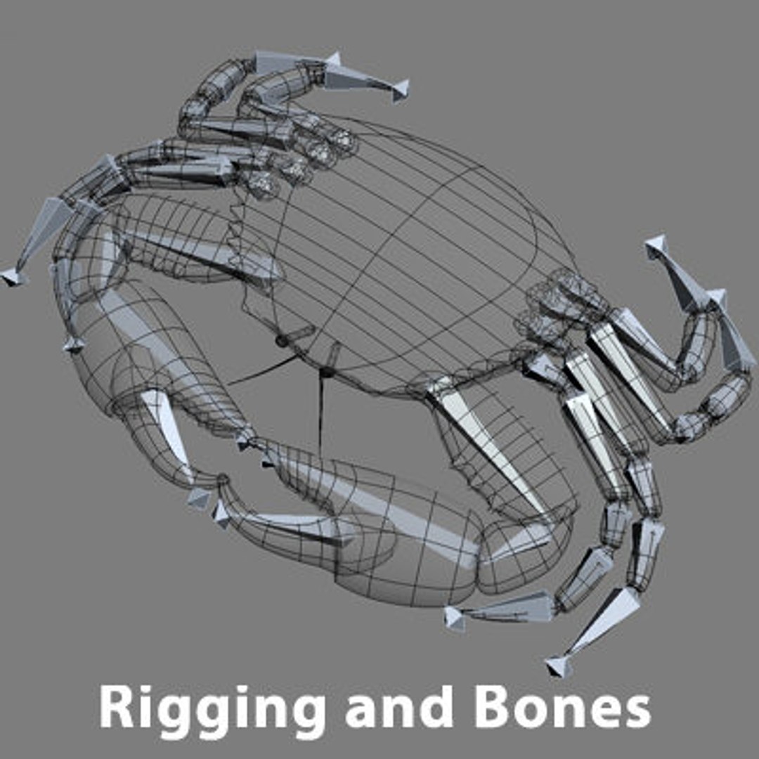 goldfishes rigged 9 gold fish 3d max https://p.turbosquid.com/ts-thumb/HF/7IJmdm/tCTL0WNS/megapack_th028/jpg/1227107054/1920x1080/fit_q87/40cf7205ccedcedba53bd7a337a7ad7f317db9b1/megapack_th028.jpg