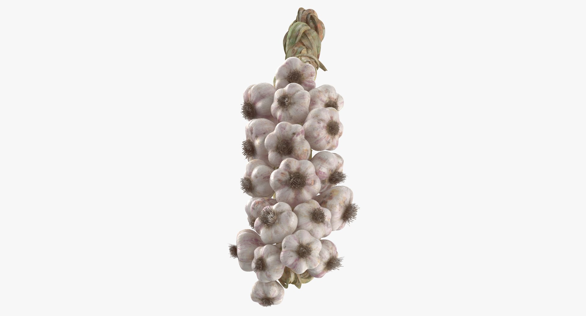 hanging garlic 3d max https://p.turbosquid.com/ts-thumb/HF/CXAC6L/1cDS5n1M/hanging_garlic_001_thumbnail_0007/jpg/1484214901/1920x1080/fit_q87/553965f1b45fd411b719d8405119a7009ddeb838/hanging_garlic_001_thumbnail_0007.jpg