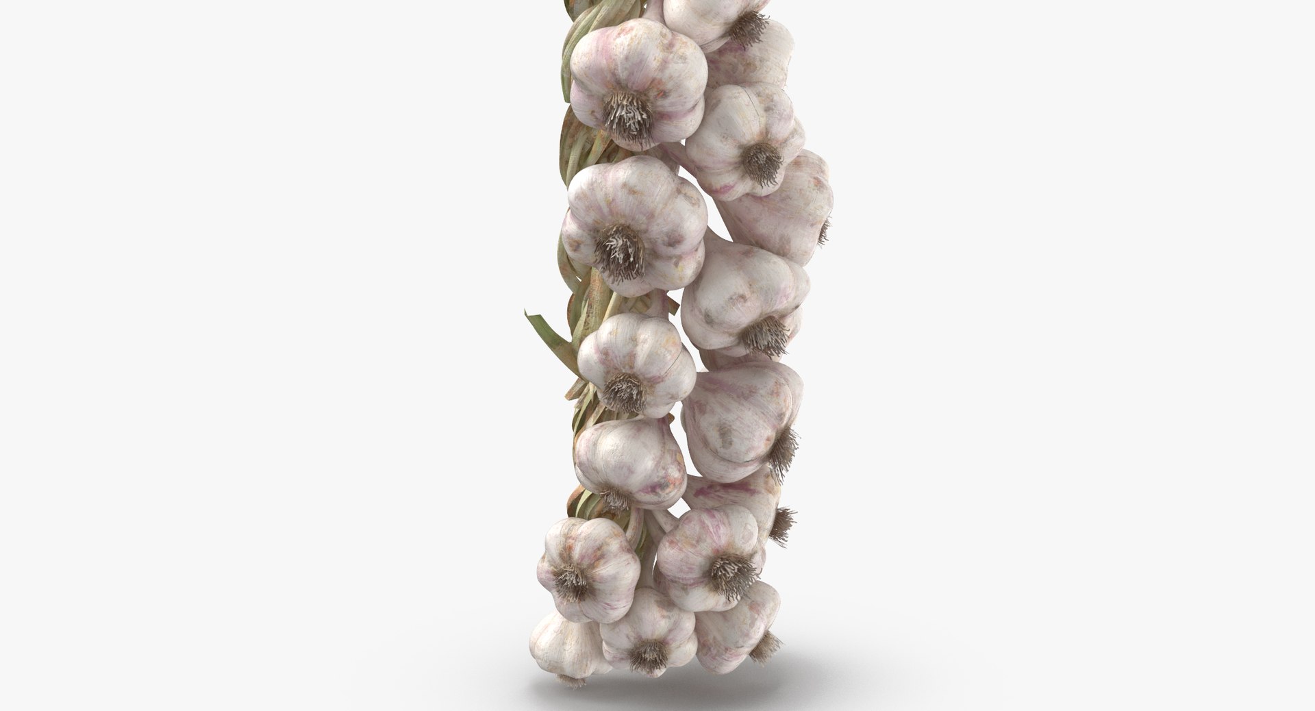 hanging garlic 3d max https://p.turbosquid.com/ts-thumb/HF/CXAC6L/2qgVLRQa/hanging_garlic_001_thumbnail_0004/jpg/1484214901/1920x1080/fit_q87/f92dc8d5e0057b3d0e567b85f778e9bd47951fa0/hanging_garlic_001_thumbnail_0004.jpg