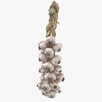Hanging Garlic
