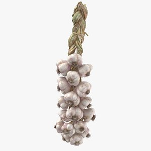 Hanging Garlic