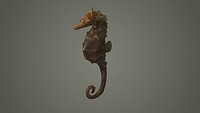 stickleback Dragon Marine Seahorse Hippopalpus Animal