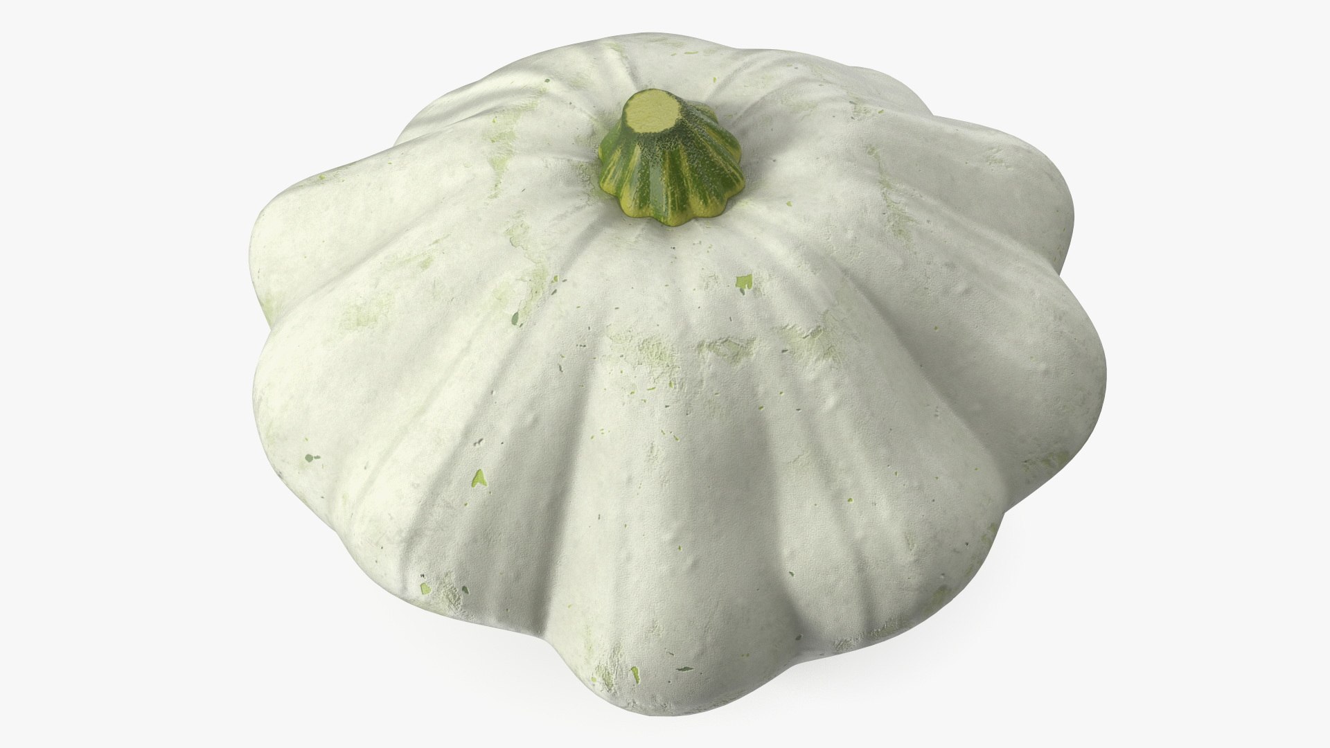 Bush Pumpkin White 3D model preview