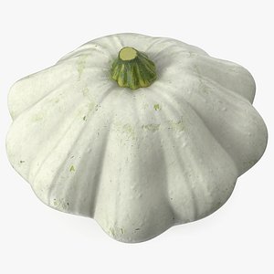 Bush Pumpkin White 3D