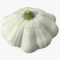 Bush Pumpkin White