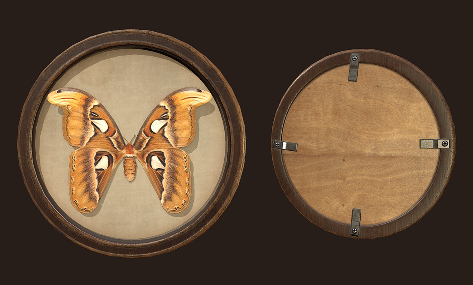 entomological pictures ready pbr 3D model https://p.turbosquid.com/ts-thumb/HF/iEzTul/C5pbGzTD/7/png/1547377550/1920x1080/fit_q87/f0ed77279f34493b13fc5a815084cb2a54510e6b/7.jpg