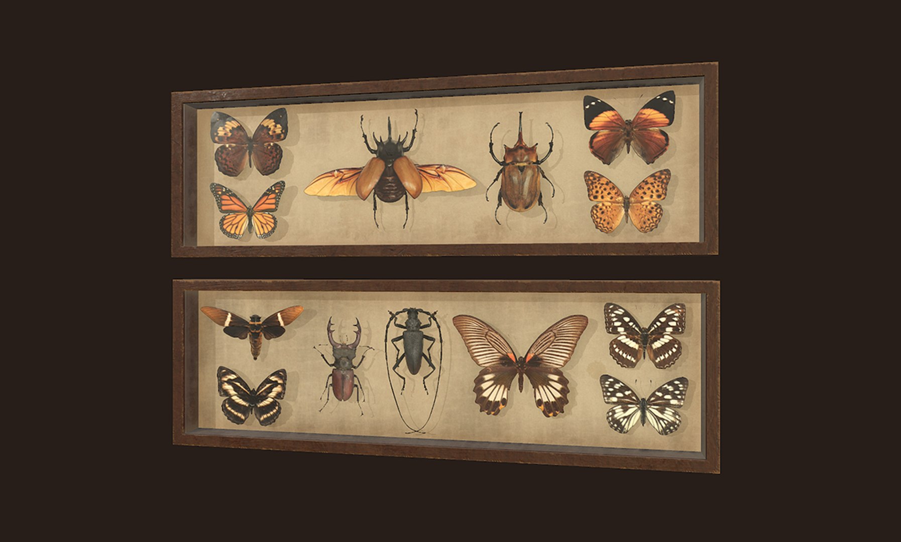 entomological pictures ready pbr 3D model https://p.turbosquid.com/ts-thumb/HF/iEzTul/GZUCr1Tp/5/png/1547377507/1920x1080/fit_q87/0d551945f74c46df9e4ee11ad6d8cf345b363b7f/5.jpg