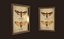 entomological pictures ready pbr 3D model