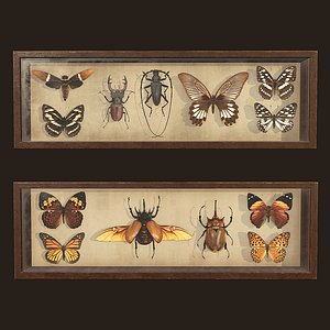 Entomological pictures - PBR Game Ready
