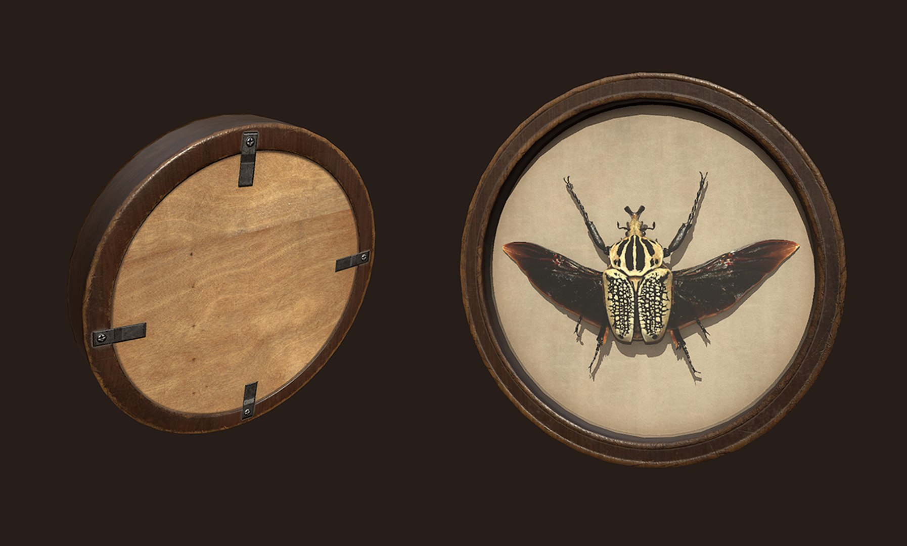 entomological pictures ready pbr 3D model https://p.turbosquid.com/ts-thumb/HF/iEzTul/r18G5KWg/6/png/1547377535/1920x1080/fit_q87/b86aa36960d957b003a0dbbc3f674586cdace2dd/6.jpg