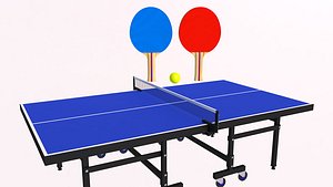 3D Tennis Table AND Tennis Paddles