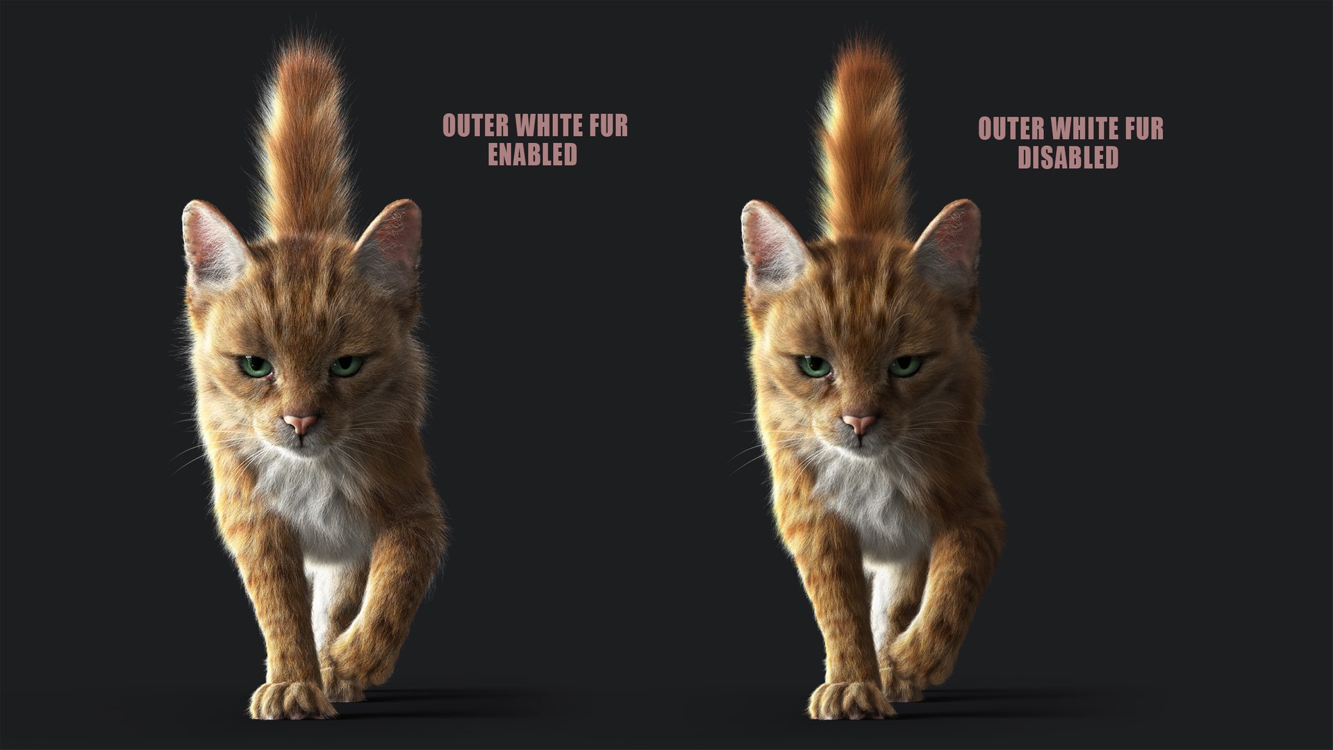 Cat Orange Tabby RIG - YETI Version 3D Model - TurboSquid 2116990