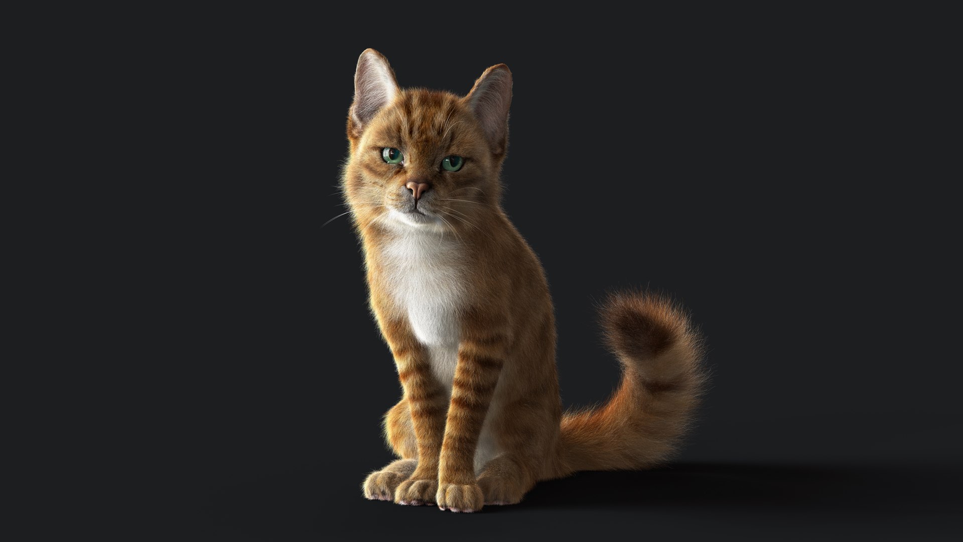 Cat Orange Tabby RIG - YETI Version 3D Model - TurboSquid 2116990