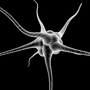 3D Neuron