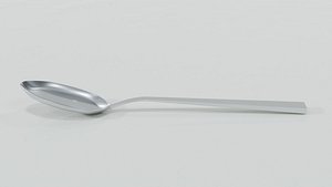 Spoon model