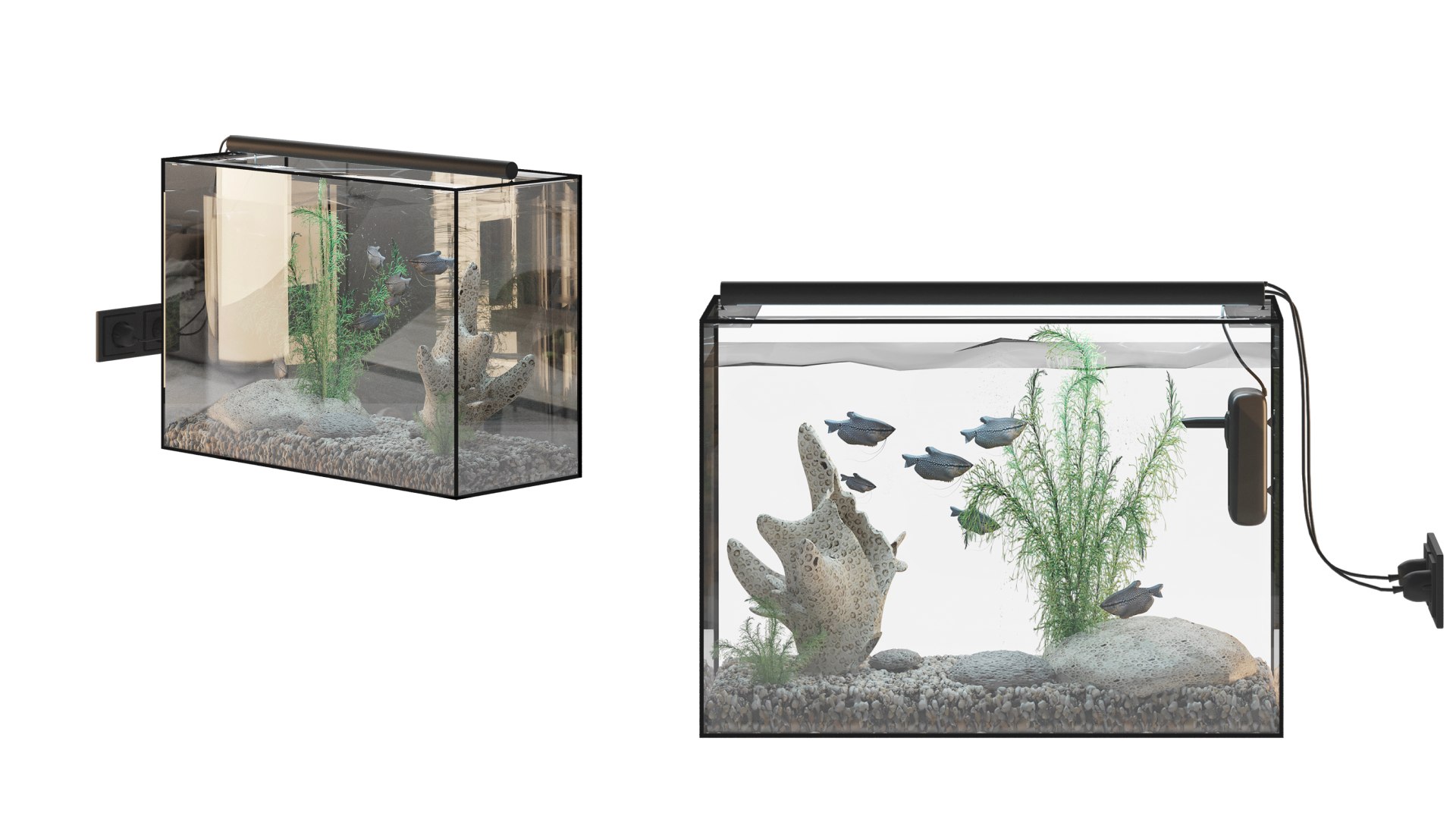 Fish Gourami Aquarium 70x30 3D model 3D model https://p.turbosquid.com/ts-thumb/HG/52lSU0/G0/aquarium3/jpg/1761764385/1920x1080/fit_q87/ba2d80d654db3a65ff0cc50ab15877993b401b50/aquarium3.jpg