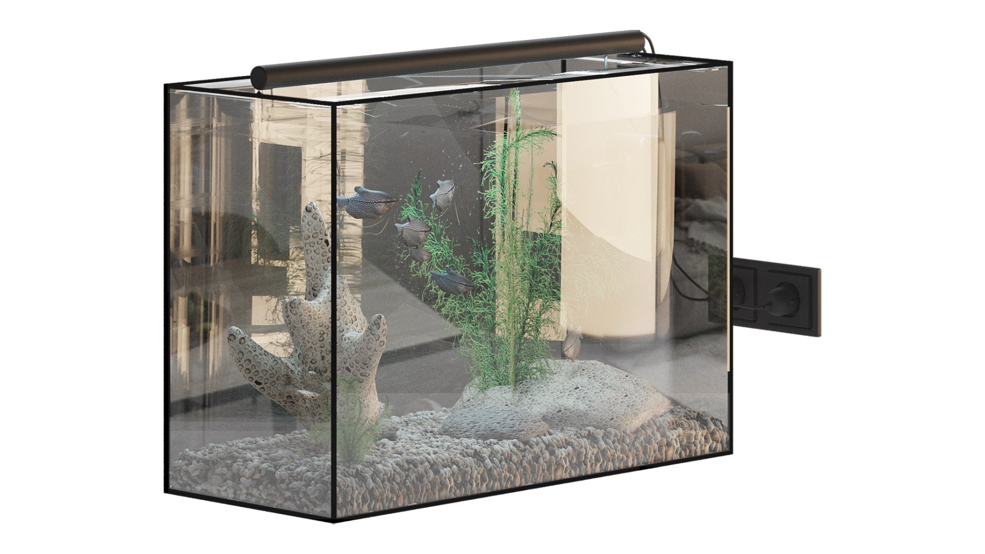 Fish Gourami Aquarium 70x30 3D model 3D model https://p.turbosquid.com/ts-thumb/HG/52lSU0/PU/aquarium2/jpg/1761764382/1920x1080/fit_q87/83cee2405200d34cc720641fd9a8eb101f3b4eab/aquarium2.jpg