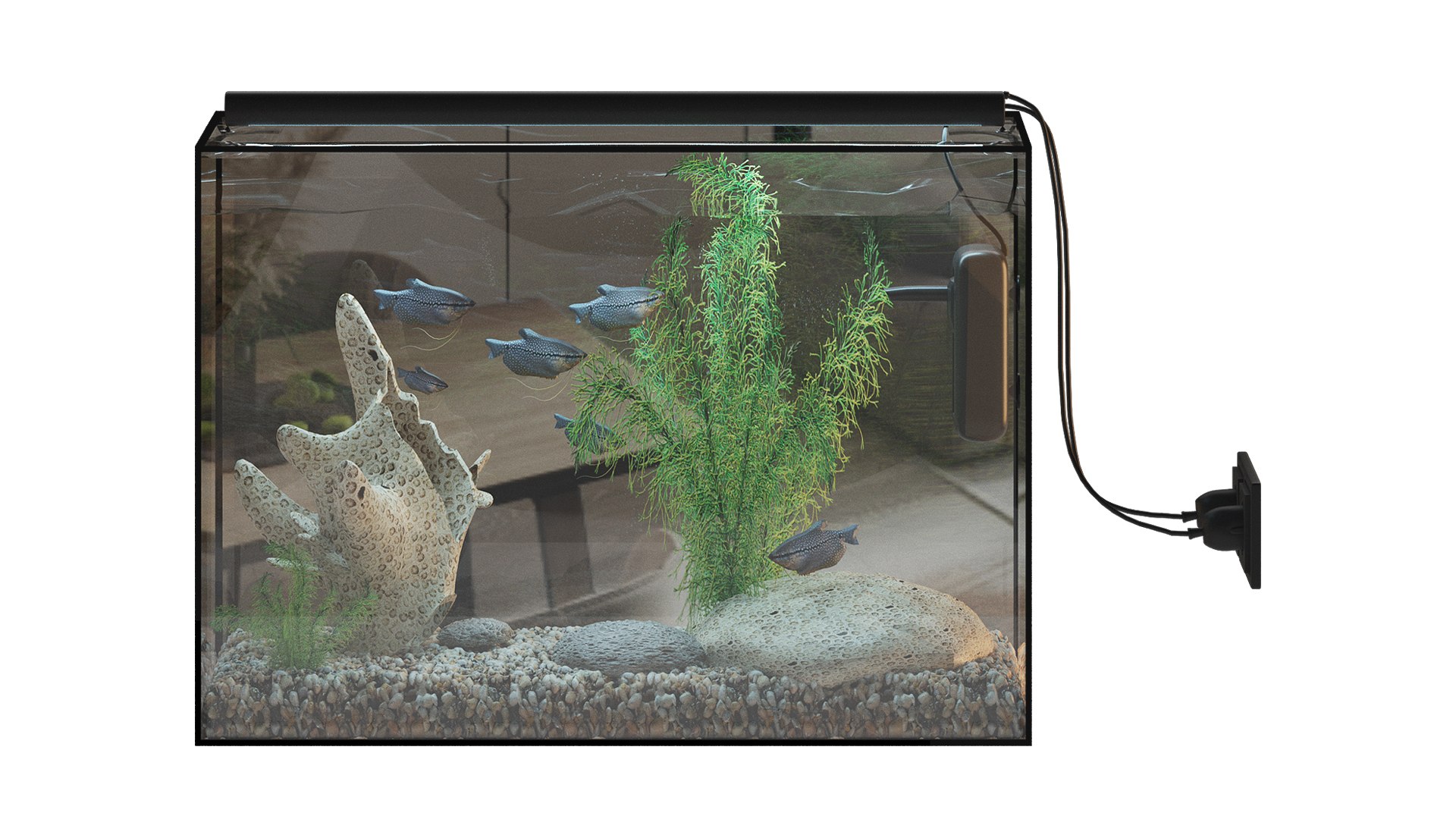 Fish Gourami Aquarium 70x30 3D model 3D model https://p.turbosquid.com/ts-thumb/HG/52lSU0/Vp/aquarium1/jpg/1761764382/1920x1080/fit_q87/0e3eff05fa20ad3ad77465abf2ae84afeb7811e6/aquarium1.jpg