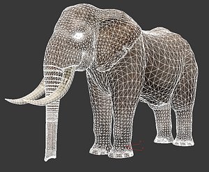 elephant 3D model