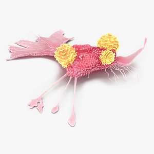 3D model Cancer Cell with 3 Lymphocytes