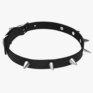 Spiked Dog Collar 2