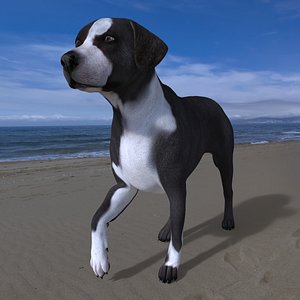 3D model LAB-031 Dog Walking