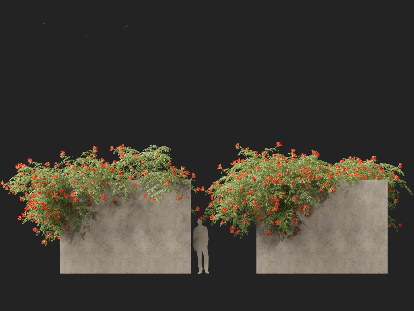 Campsis radicans - Trumpet vine 3D model https://p.turbosquid.com/ts-thumb/HG/OB6KVb/2o/campsisradicans018/jpg/1706532003/1920x1080/fit_q87/e4052e7729519b9e8fc73f961a4d998461009bd6/campsisradicans018.jpg